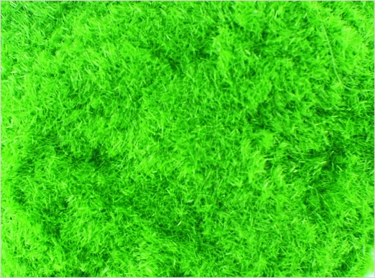 China # 8 1 mm personalizada modelo tren diseños materiales Nylon Lt verde hierba polvo proveedor