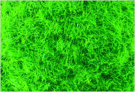 China A-1 2,5 mm personalizada escala modelo tren diseños suministros Nylon hierba Med.Green comida proveedor