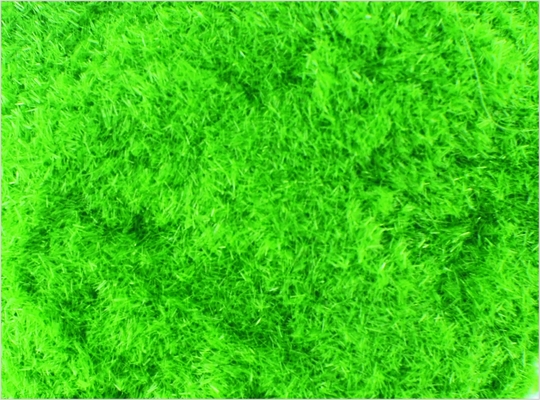 China # 8 mm 1 arquitectura escala modelo tren diseños suministros Nylon polvo de hierba verde profundo proveedor