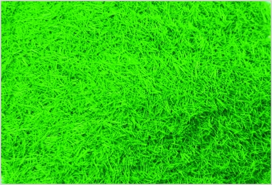 China C013 Personalizado modelo tren diseños suministros césped verde profundo de Nylon proveedor