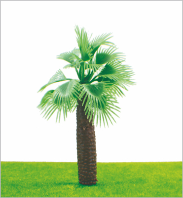 China M009 Tren HO diseño en miniatura modelo árboles verde calle coco árbol 11 cm proveedor