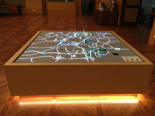 LED que enciende el modelo arquitectónico de la miniatura del modelo de escala del modelo/de la arquitectura de escala proveedor