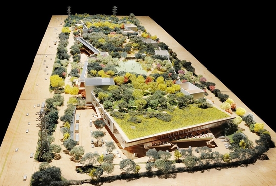Fabricante modelo arquitectónico del plan maestro del área, modelo de escala de planificación del estado proveedor